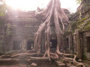 Ta Prohm