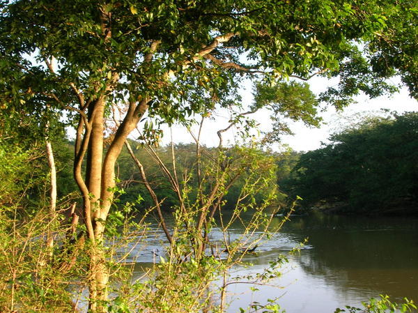 View of the River Near the Lodge
