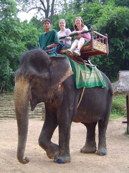 Travelling by elephant
