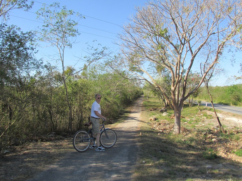 Biking to the cenotes