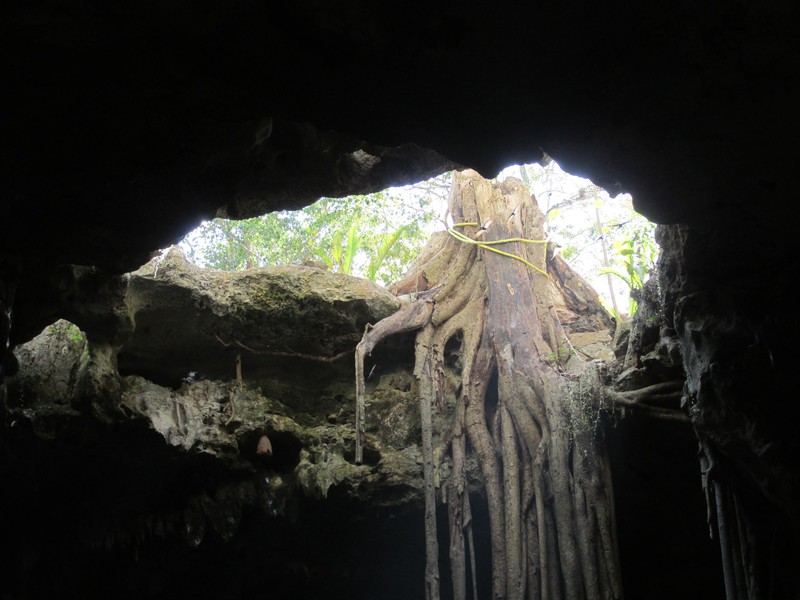 Ceiling of Cenote Samula