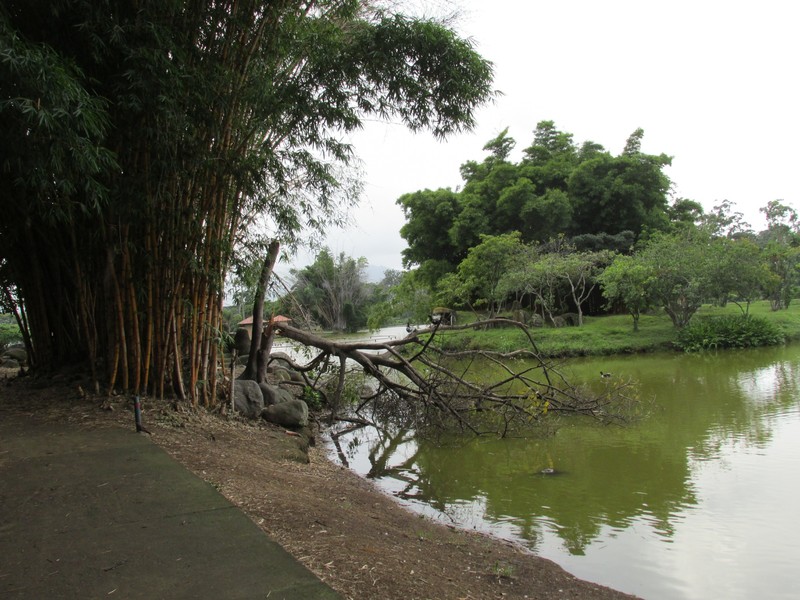 Parque Sabana