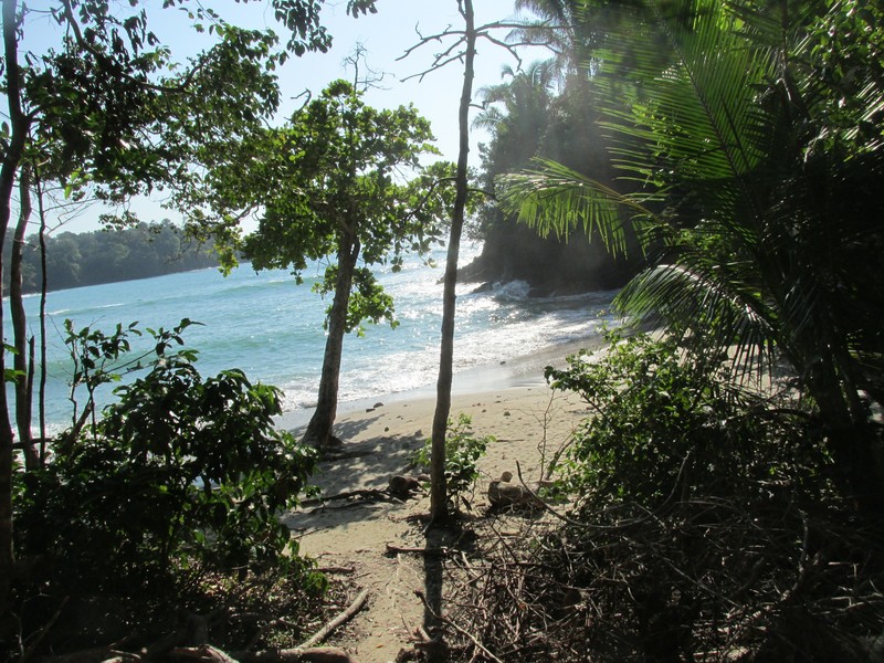 Ocean View from Park