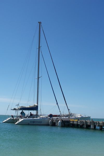 The catamaran