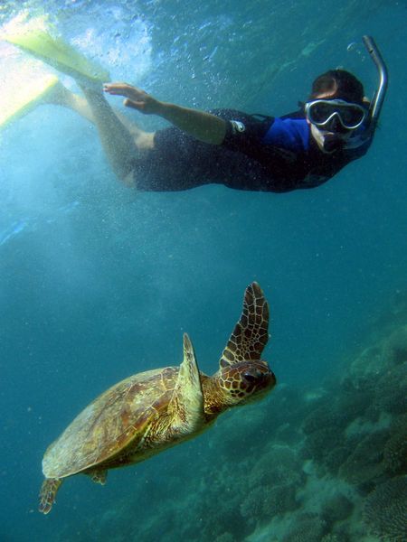 Jo with the Green Turtle