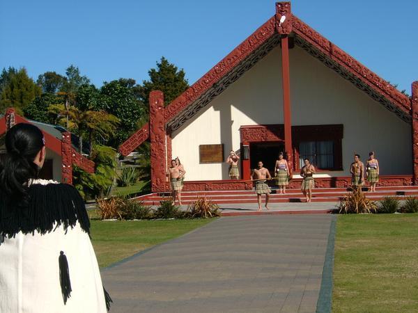 Maoris coming to hongi us