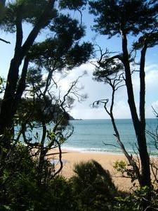 Abel Tasman coastal walk