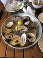 Oysters are much larger than the ones we get on the west coast