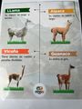 Animals found in Patagonia