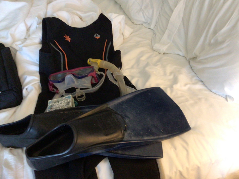 I brought a shorty wet suit, goggles, fins, flippers and fish identifier 