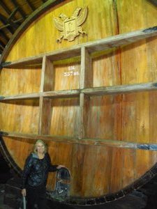 The Barrels are Large in Mendoza