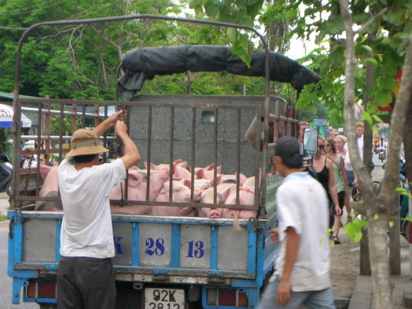 Bacon Delivery - Hoi An
