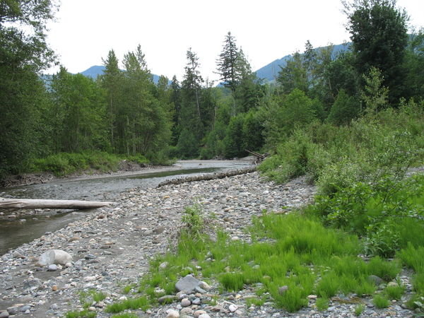 finney creek