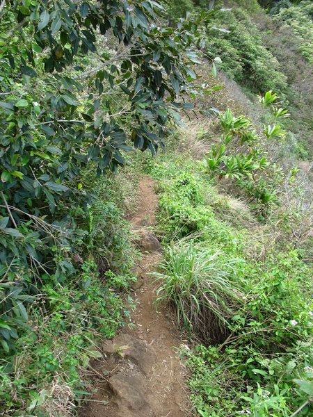 the trail is steep and narrow