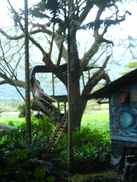 waipio treehouse