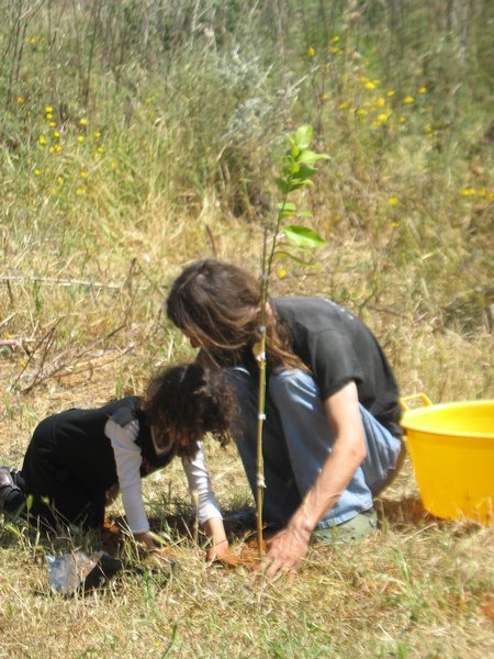 francois and yacu plant a tree for her birthday