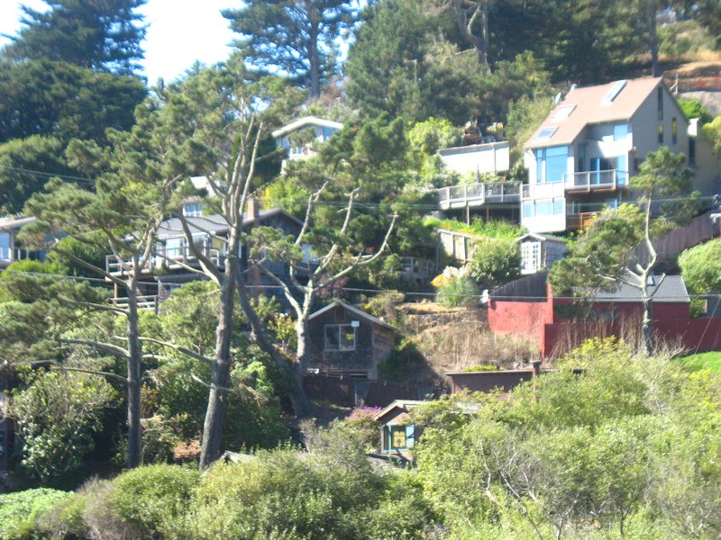 homes above Muir beach