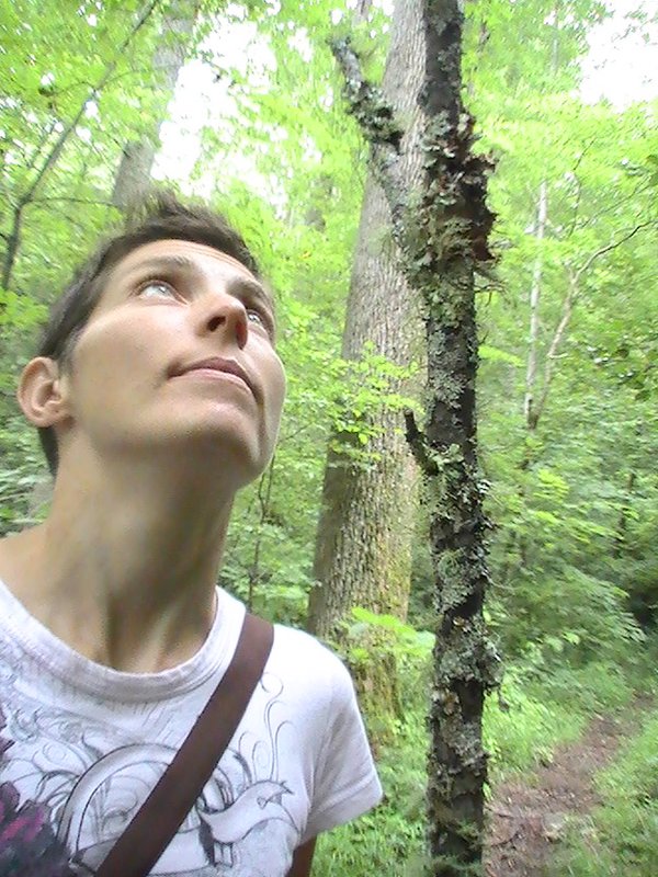 forest walk