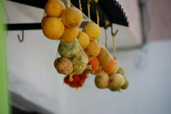Low hanging Fruit