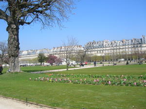 the gardens outside the Louvre
