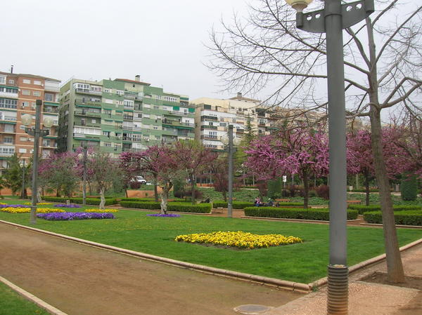 city park
