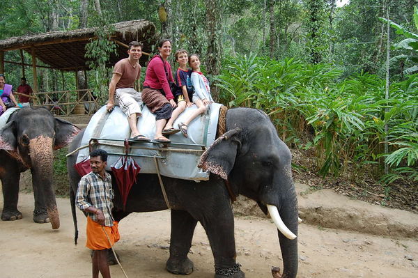 Elephant ride near Thekkady