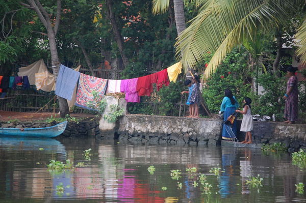 Life in the Backwaters II