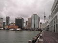 Auckland from the Harbor