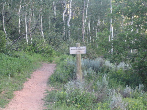 Pioneer Trail