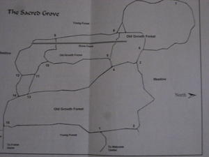 Sacred Grove Map