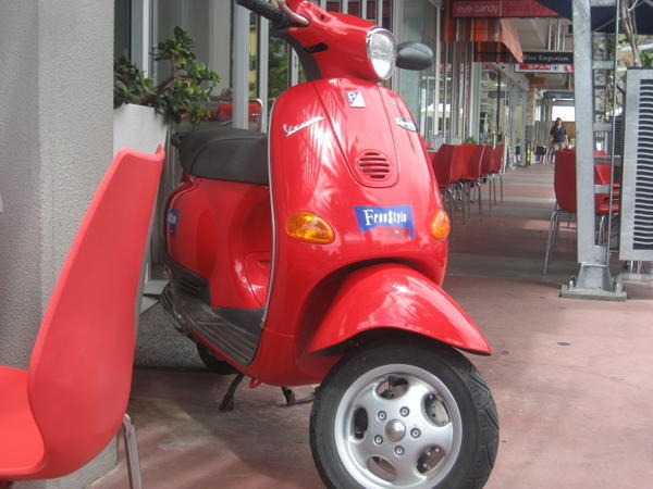 The Freestyle Scooter