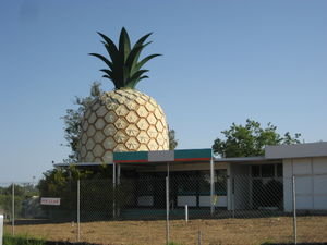 The 'other' BIG pineapple - Gympie