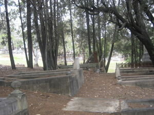 Grave and Trees