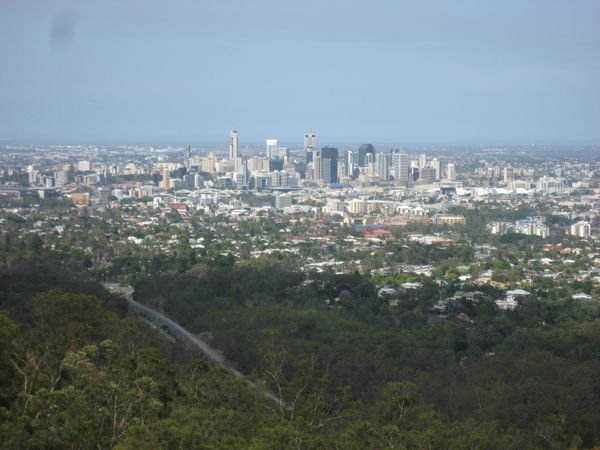 The City from Mt Cootha