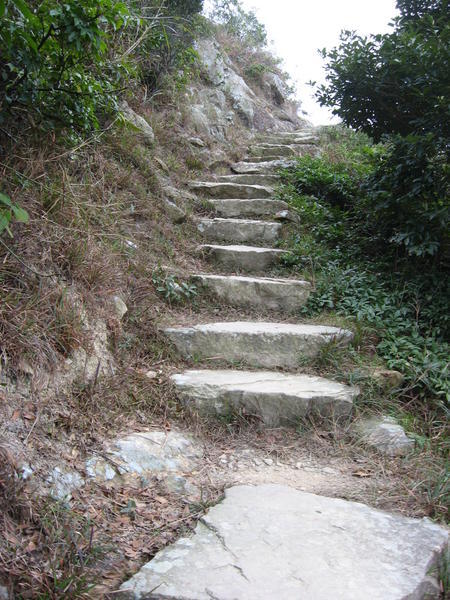The Beginning to the top of Lantau Peak