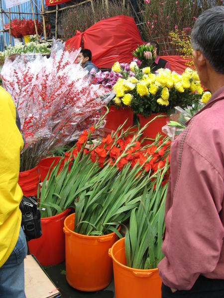  Flower Market in Victoria Park