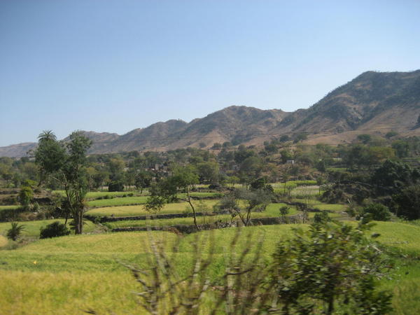 Rajasthani countryside