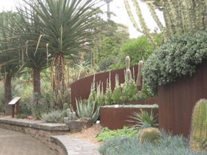 Succulent Garden2