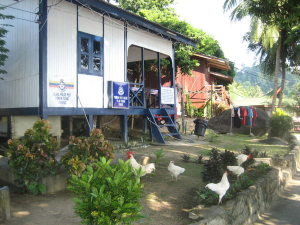 Police Station with Chickens