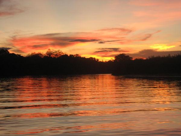 Sungai Kinabatangan sunset