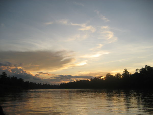 Kinabatangan river