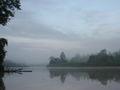 Morning on Sungai Kinabatangan