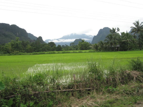 Lao countryside