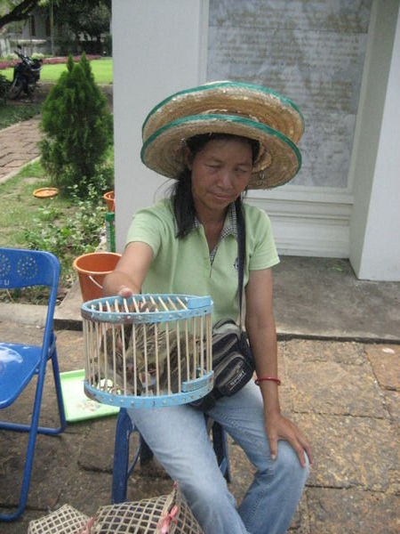 Lady selling birds