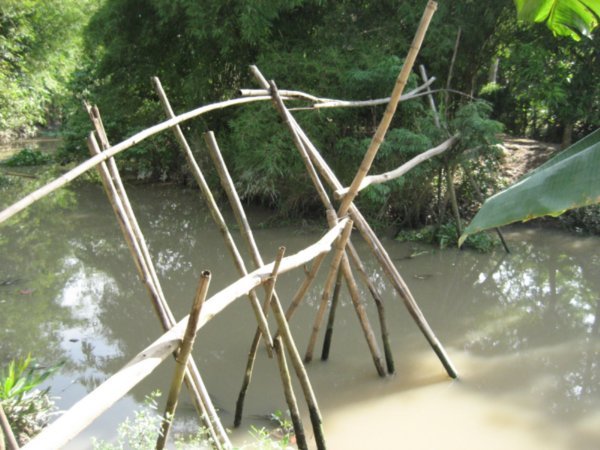 Monkey Bridge