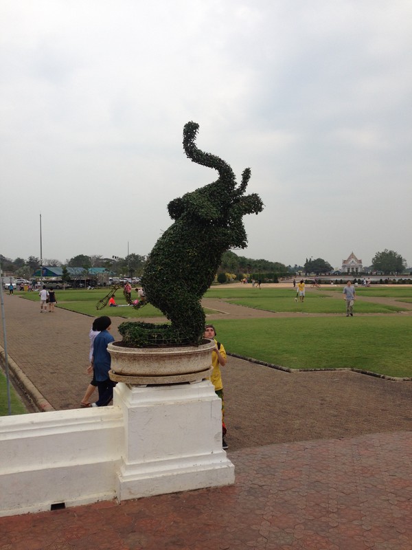 Awesome elephant topiary