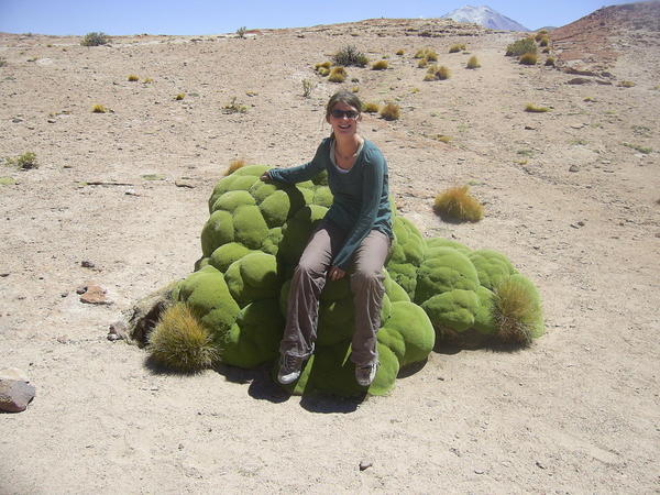 Bex sitting on a special type of moss that only grows at high altitudes