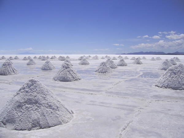 Piles of salt drying in the sun before thier journey to the refinery