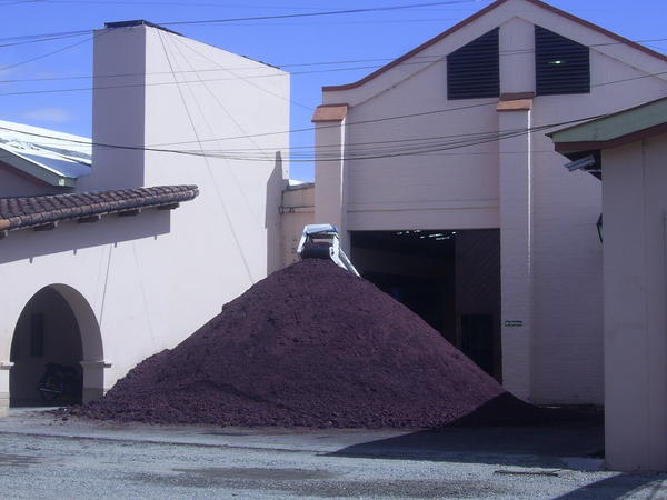 Pile of crushed grapes