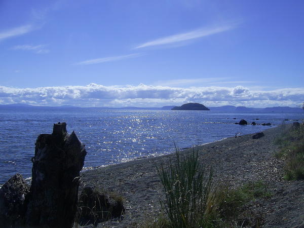 A small bay on Lake Taupo